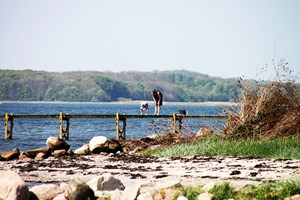 gruppenhaus-dänemark-haus-sandbjerg-9-strand.JPG