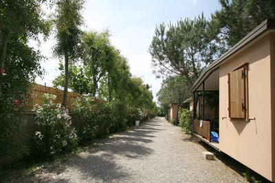 Bungalows am Mittelmeer in der Toskana Bild 3