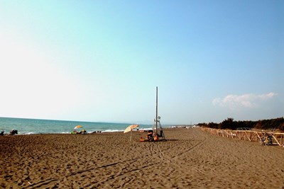Bungalows am Mittelmeer in der Toskana Bild 8