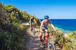 Thumbnail von gruppenhaus-kroatien-istrien-gruppenhaus-Liznjan-9-mountainbike.jpg