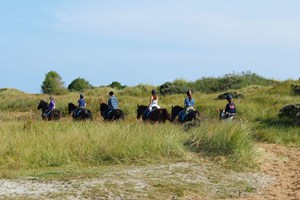 gruppenhaus-niederlande-insel ameland-solingen-1-12-reiten-bild-1.jpg