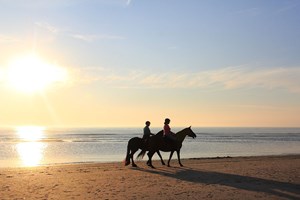 gruppenhaus-niederlande-insel ameland-solingen-3-9-reiten-bild-2.JPG