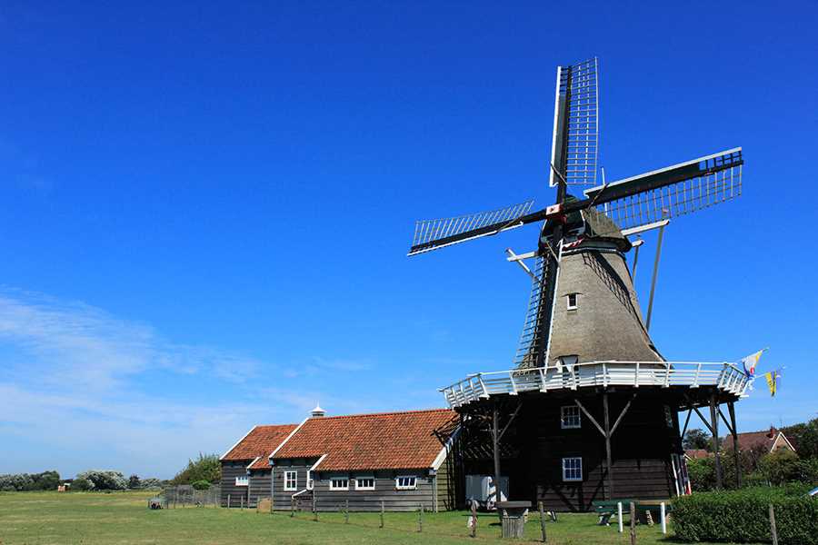 gruppenhaus-niederlande-insel ameland-haus-anja-16-windmühle-bild-1.JPG