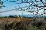 Thumbnail von gruppenhaus-italien-toskana-casa-pomponi-2-panorama-bild-1.jpg