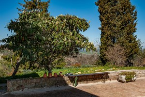 gruppenhaus-italien-toskana-casa-pomponi-3-terrasse-bild-5.jpg