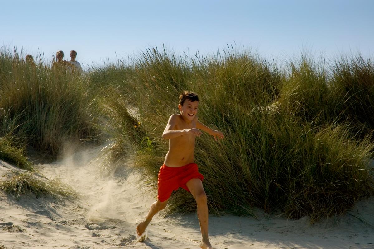 gruppenhaus-niederlande-insel ameland-hof-van-hollum-13-strand-bild-1.jpg