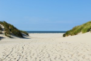 gruppenhaus-niederlande-insel ameland-hof-van-hollum-13-strand-bild-5.JPG