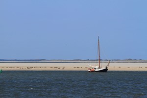 gruppenhaus-niederlande-insel ameland-hof-van-hollum-11-schiff-bild-1.JPG