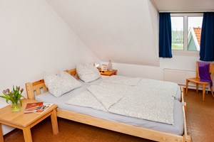 gruppenhaus-niederlande-insel ameland-hof-van-hollum-4-zimmer-3.jpg