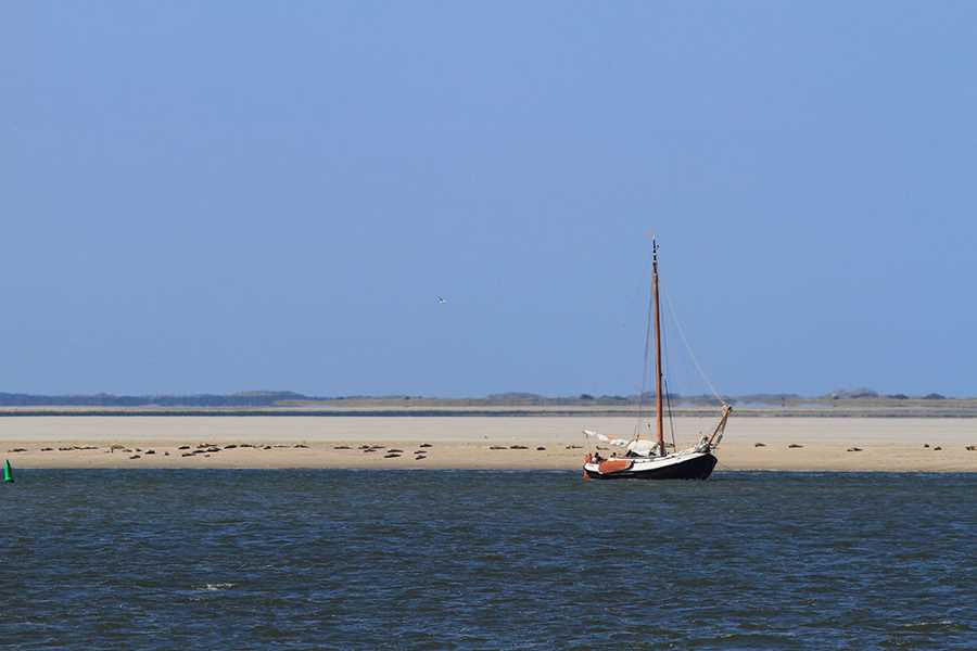 gruppenhaus-niederlande-insel ameland-hof-7-12-schiff-bild-1.JPG