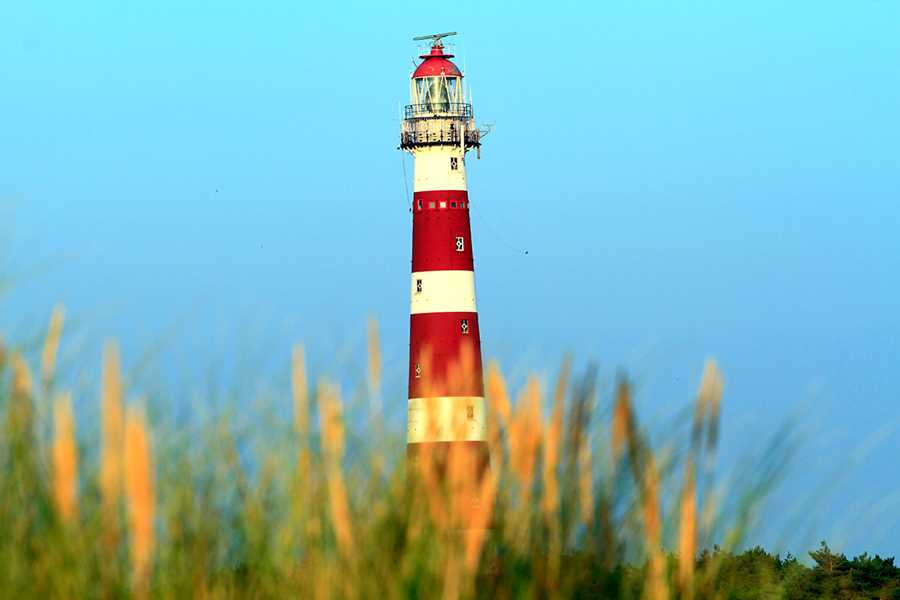 gruppenhaus-niederlande-insel ameland-hof-7-6-leuchtturm-bild-1.JPG