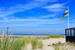 Thumbnail von gruppenhaus-niederlande-insel ameland-hof-7-14-strand-bild-6.JPG