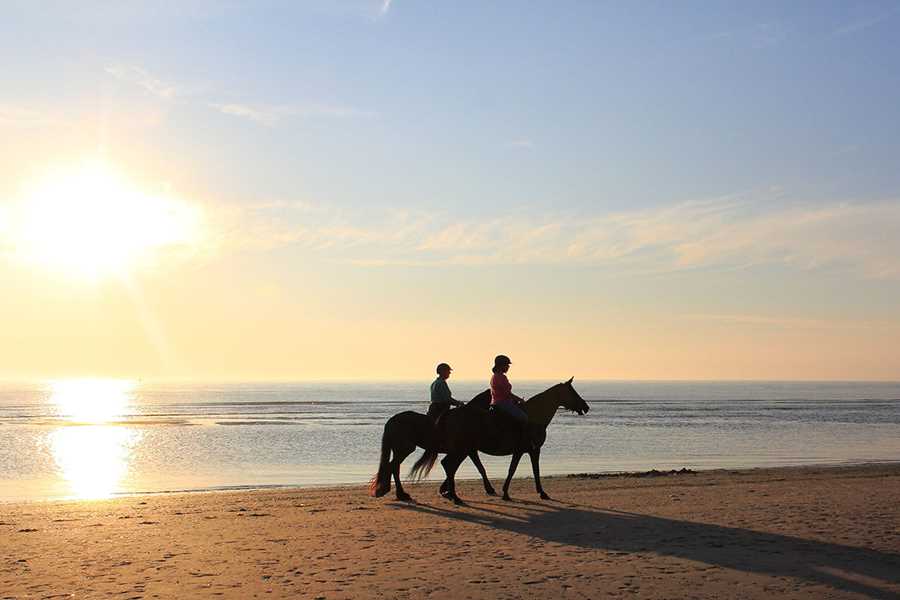 gruppenhaus-niederlande-insel ameland-hof-7-10-reiten-bild-2.JPG