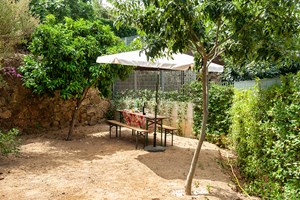 gruppenhaus-spanien-santema-3-garten-1.jpg