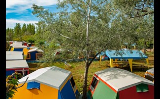Vorschaubild Camp Flamingo