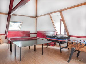 Zonnebloem_1022080.jpg