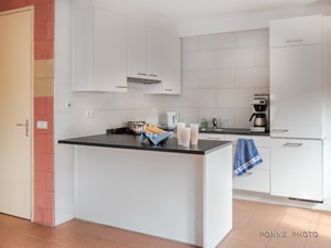 Zonnebloem_1022093.jpg