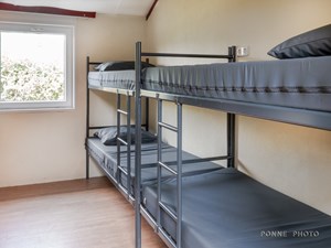 Zonnebloem_1022099.jpg