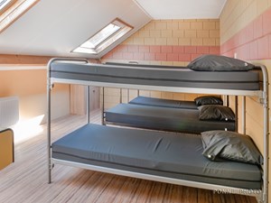 Zonnebloem_1022135.jpg