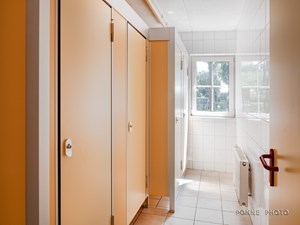 Zonnebloem_1022161.jpg