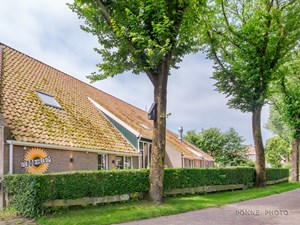 Zonnebloem_1022145.jpg