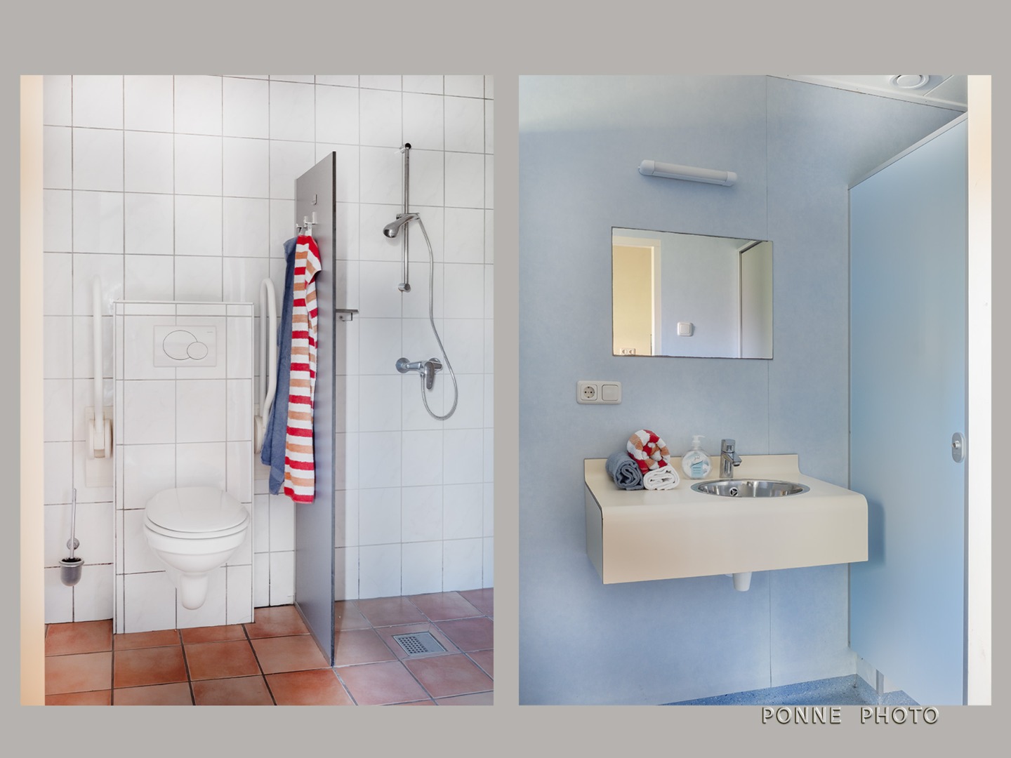 vericals Zonnebloem.jpg