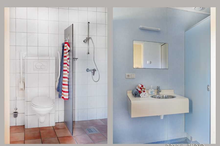 vericals Zonnebloem.jpg