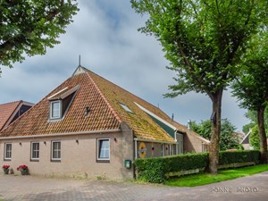 Zonnebloem_1022148.jpg