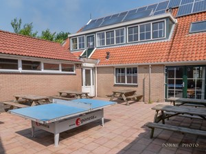 Zonnebloem_1022156.jpg