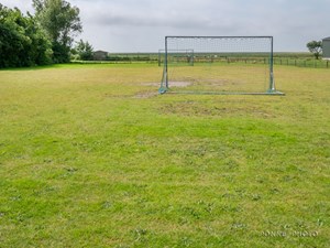 Zonnebloem.jpg