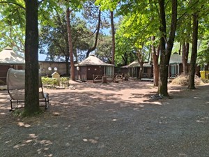 4a2aae76-762a-43dd-82d0-b88a559fe9e1.jpg