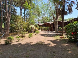 22ab8a47-f49a-4ab5-b5b7-1db3c82083f6.jpg