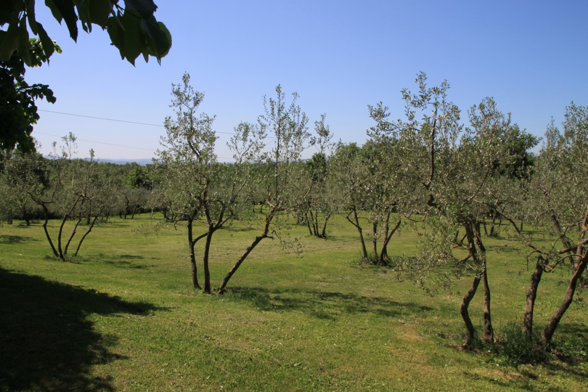 Gruppenhaus-Italien-Casa Montelungo-21-Aussengelaende-1.jpg