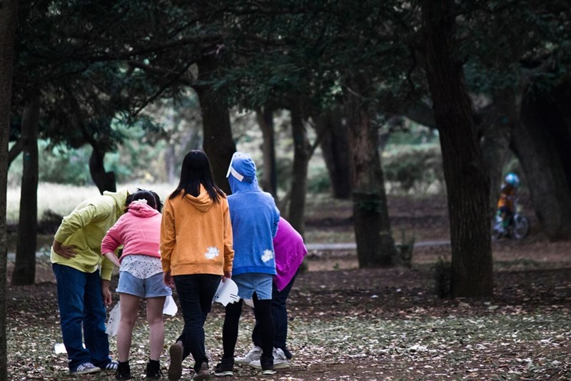Bild: Workshop  „Verhaltensauffälligkeiten bei Teilnehmer/innen auf Kinder- und Jugendreisen“