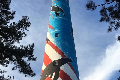 Kunstmonat auf der Insel Ameland Bild 3