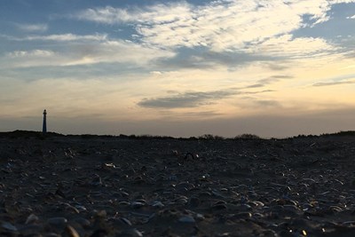 Kunstmonat auf der Insel Ameland Bild 5